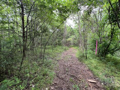 lot7 Truevine Rd, Penhook, VA 24137 photo 5