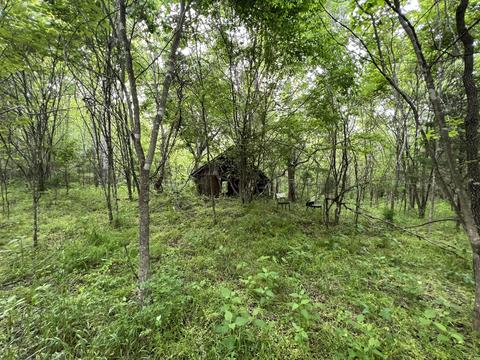 lot7 Truevine Rd, Penhook, VA 24137 photo 10