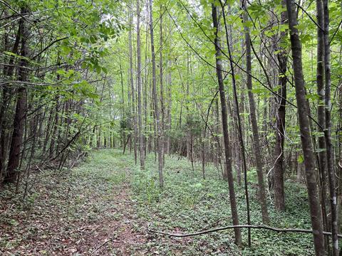 lot7 Truevine Rd, Penhook, VA 24137 photo 9
