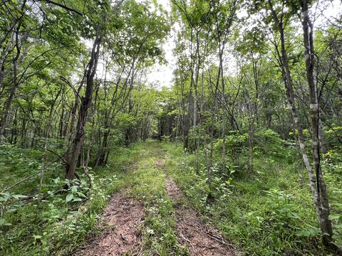 lot7 Truevine Rd, Penhook, VA 24137 photo 4