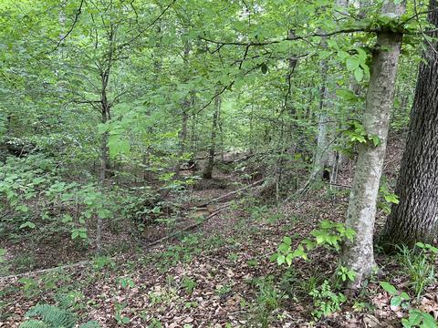 lot7 Truevine Rd, Penhook, VA 24137 photo 13