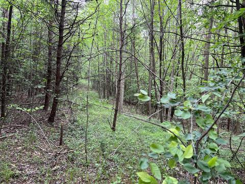 lot7 Truevine Rd, Penhook, VA 24137 photo 8