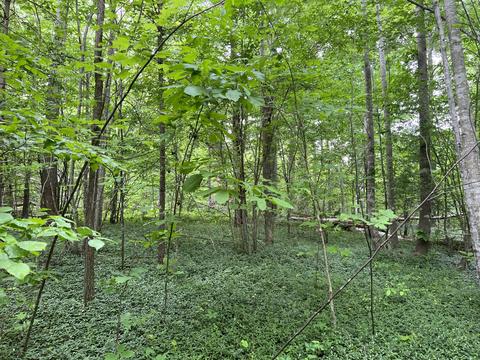 lot7 Truevine Rd, Penhook, VA 24137 photo 11