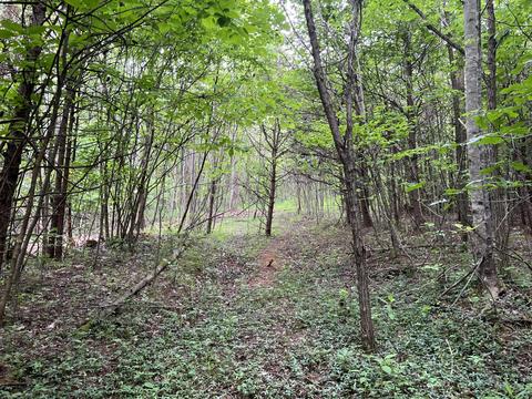 lot7 Truevine Rd, Penhook, VA 24137 photo 2