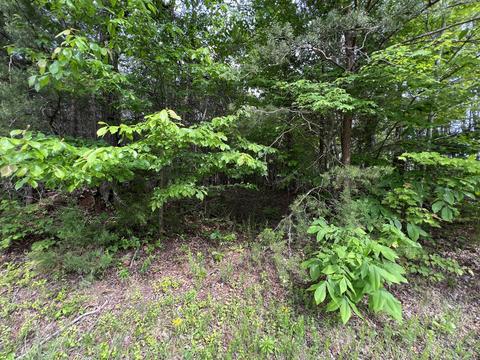 lot8 Truevine Rd, Penhook, VA 24137 photo 6
