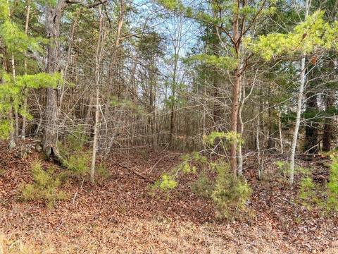lot8 Truevine Rd, Penhook, VA 24137 photo 3