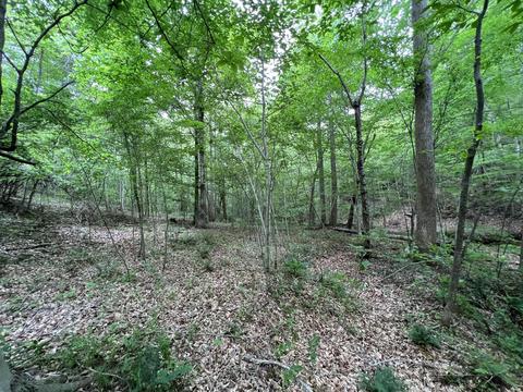 lot8 Truevine Rd, Penhook, VA 24137 photo 11