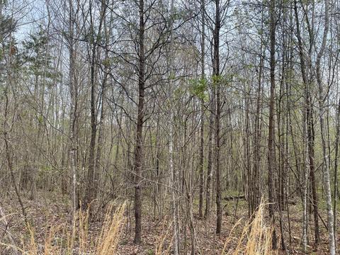 lot8 Truevine Rd, Penhook, VA 24137 photo 4