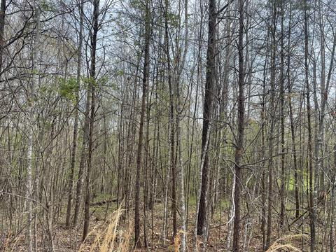 lot8 Truevine Rd, Penhook, VA 24137 photo 5