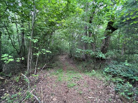 lot8 Truevine Rd, Penhook, VA 24137 photo 10