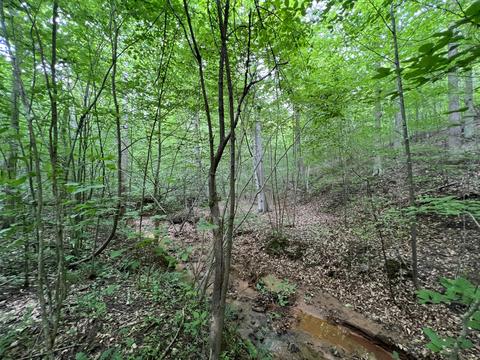 lot8 Truevine Rd, Penhook, VA 24137 photo 12