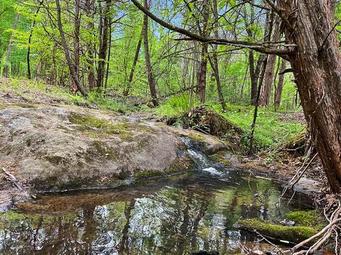 3953 Shingle Block Rd, Bedford, VA 24523 photo 70