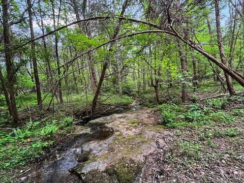3953 Shingle Block Rd, Bedford, VA 24523 photo 71