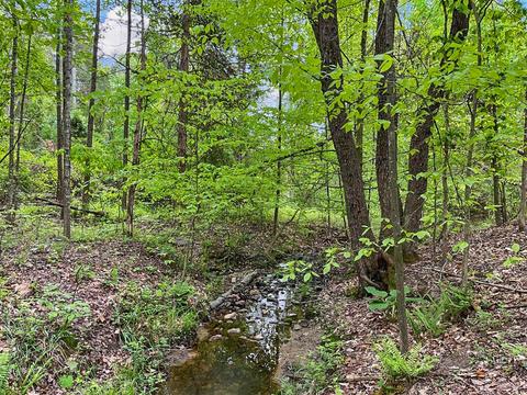 3953 Shingle Block Rd, Bedford, VA 24523 photo 68