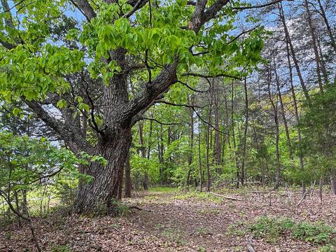 3953 Shingle Block Rd, Bedford, VA 24523 photo 62