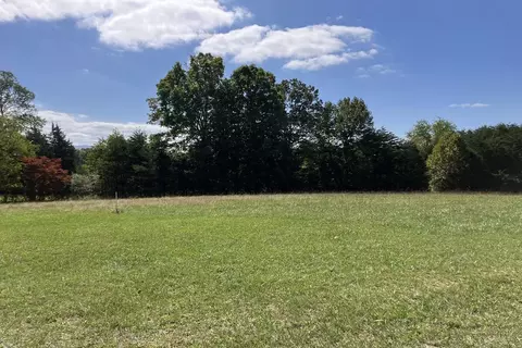Lot 3 Smith Mountain Lake Pkwy, Huddleston, VA 24104