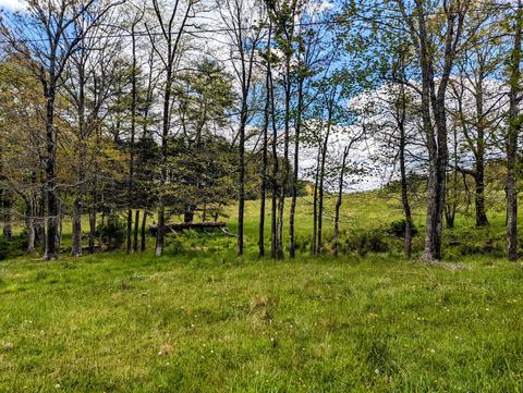 0 Stonewall Rd NE, Pilot, VA 24138 photo 21