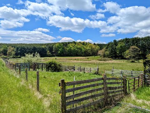 0 Stonewall Rd NE, Pilot, VA 24138 photo 3