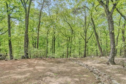 94 Turtleback Path, Hardy, VA 24101 photo 48