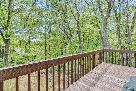 94 Turtleback Path, Hardy, VA 24101 photo 47