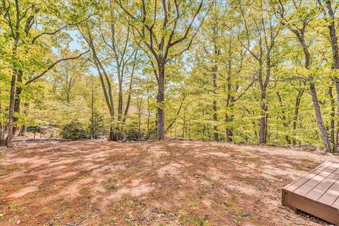 94 Turtleback Path, Hardy, VA 24101 photo 56