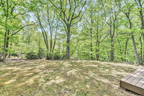 94 Turtleback Path, Hardy, VA 24101 photo 46