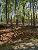 lot29 B Larboard Dr, Moneta, VA 24121