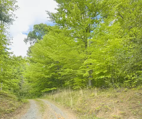 0 Clearwater Lodge Rd, Natural Bridge Station, VA 24579