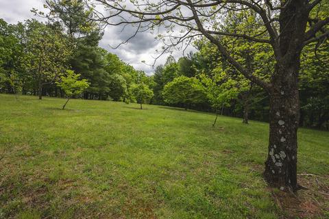 672 Branch Ln, Woolwine, VA 24185 photo 65