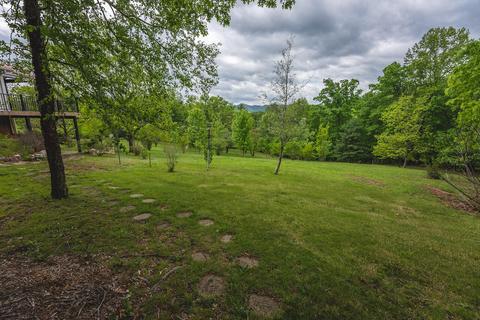 672 Branch Ln, Woolwine, VA 24185 photo 48