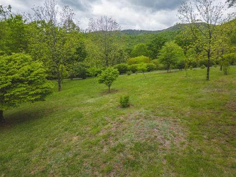 672 Branch Ln, Woolwine, VA 24185 photo 8