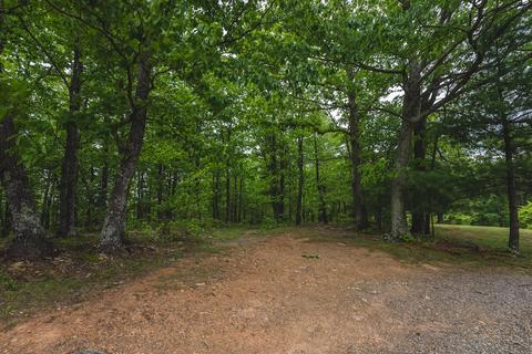 672 Branch Ln, Woolwine, VA 24185 photo 64