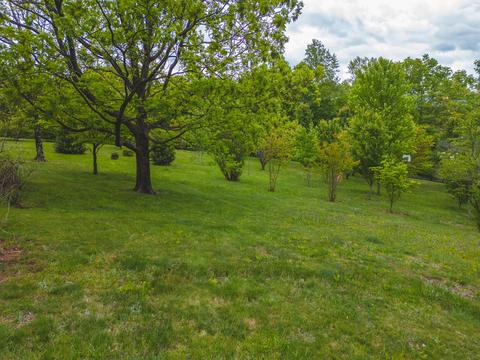 672 Branch Ln, Woolwine, VA 24185 photo 5