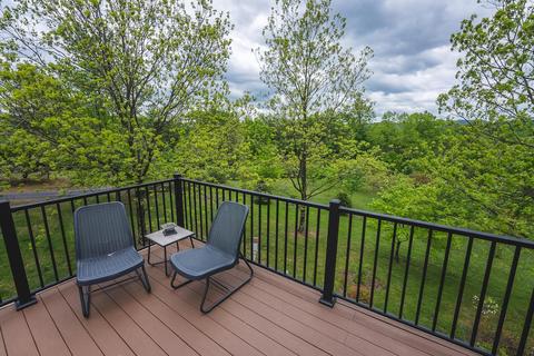 672 Branch Ln, Woolwine, VA 24185 photo 60