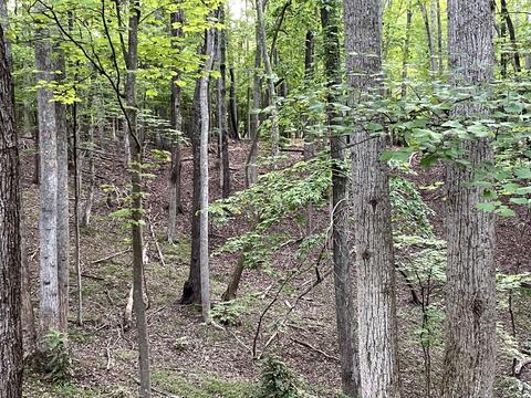 lot292 Dormie Ln, Penhook, VA 24137