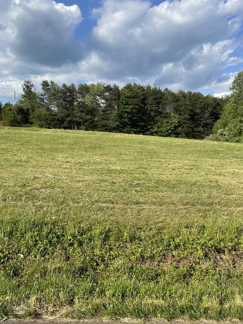 0 Saddleridge Rd, Bassett, VA 24055