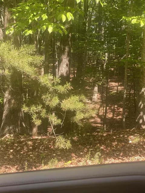 lot8 Crawford Dr, Moneta, VA 24121
