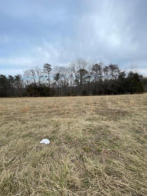 lot5 Bonbrook Mill Rd, Wirtz, VA 24184