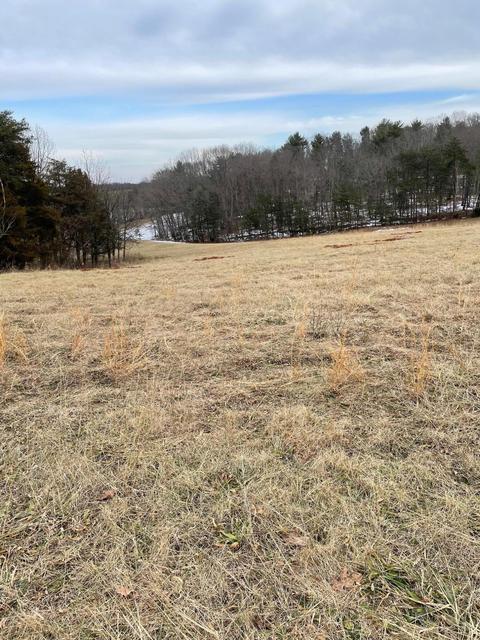 lot6 Bonbrook Mill Rd, Wirtz, VA 24184