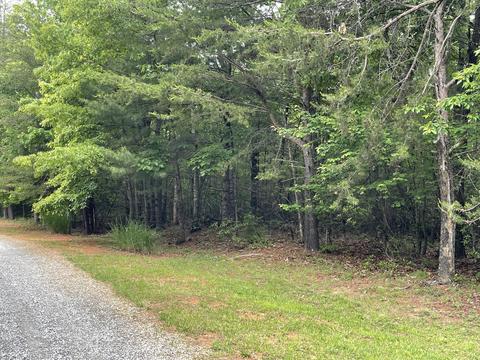 00 Hatchet Ridge Ln, Callaway, VA 24067