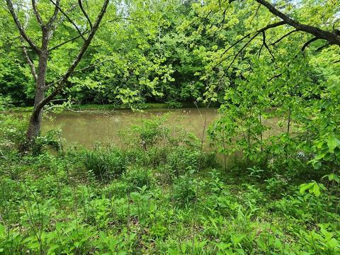 0 Fishermans Cove Rd, Goodview, VA 24095
