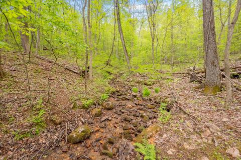 855 Cannady School Rd SE, Floyd, VA 24091