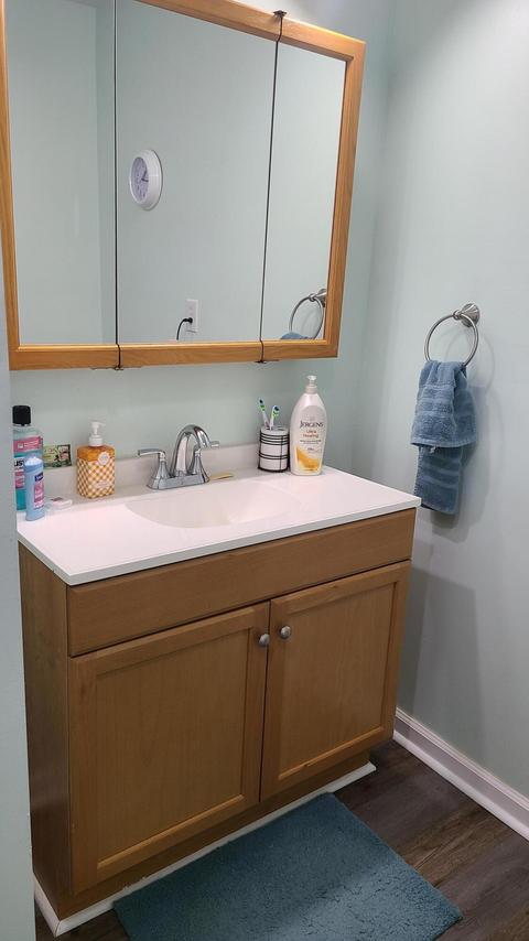 1011 St Johns Loop, Ferrum, VA 24088 photo 24