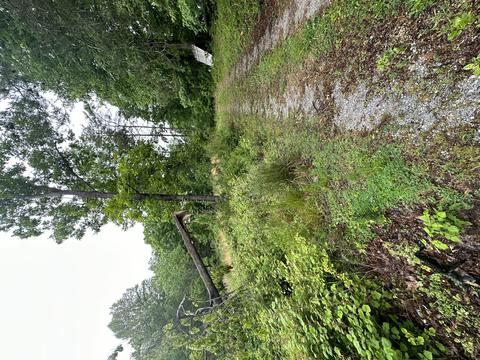 1155 Sagebrush Ct, Goodview, VA 24095