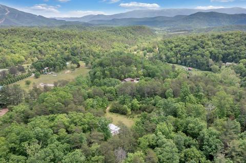 2965 Reesedale Rd, Elliston, VA 24087 photo 59