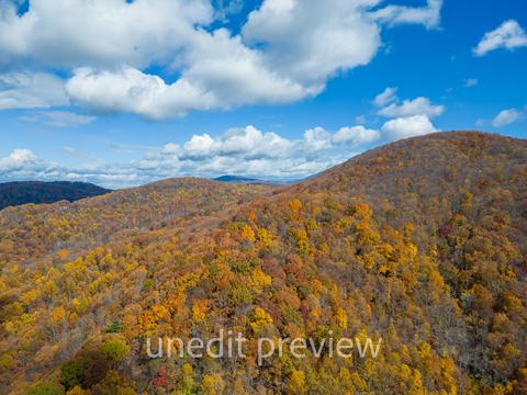 0 Murray Hollow Rd, Thaxton, VA 24174