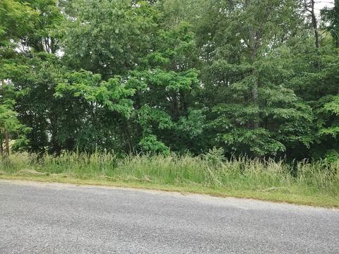 lot41 Old Farmhouse Dr, Moneta, VA 24121