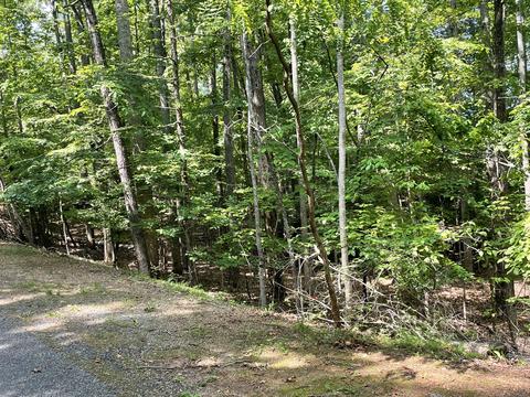 lot58 Meadow Point Dr, Moneta, VA 24121