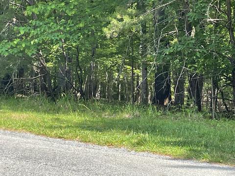 lot57 Meadow Point Dr, Moneta, VA 24121