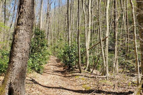0 Little Mack Creek Rd, Hiwassee, VA 24347